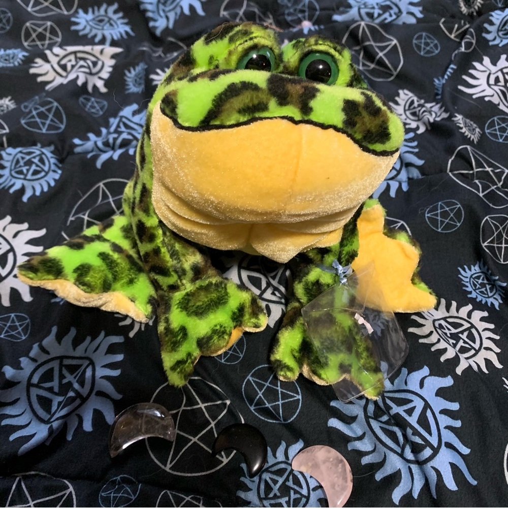 Frog Plushie | Webkinz (no tags)